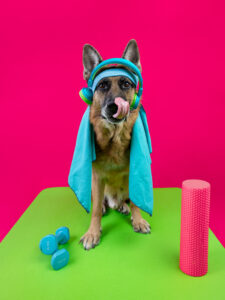 Тут должна быть подпись 